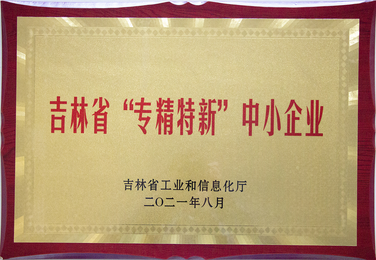 吉林省“专精特新”中小a片无码
