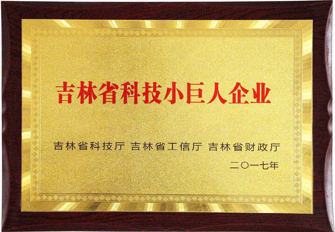 吉林省科技小巨人a片无码
