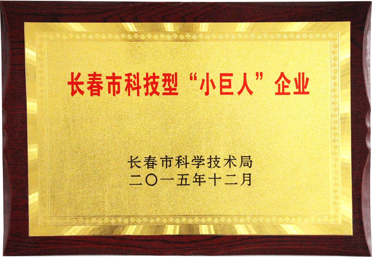 长春市科技型“小巨人”a片无码
