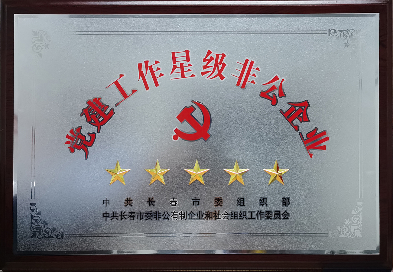 长春市党建工作五星级非公a片无码
