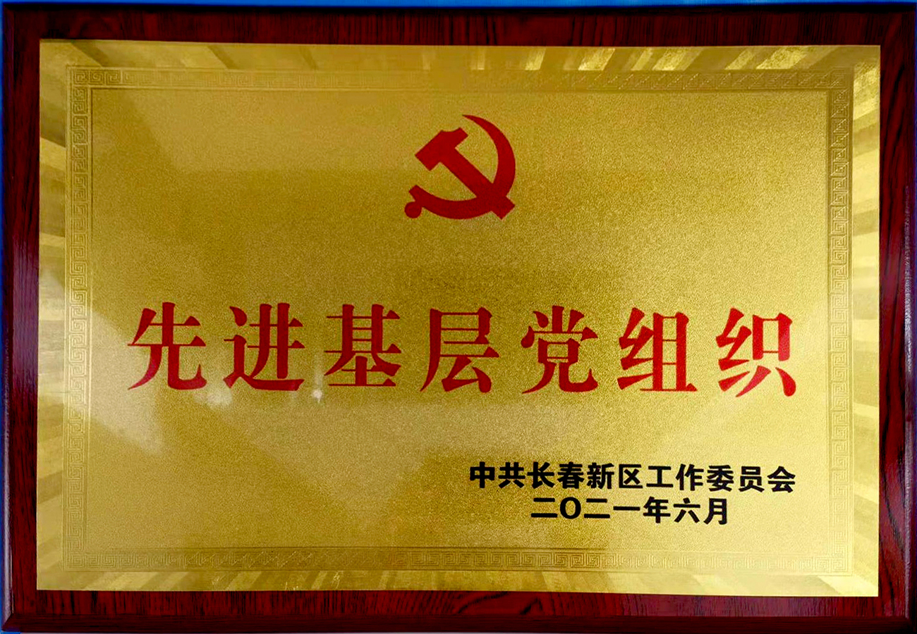 22长春新区先进基层党组织.jpg