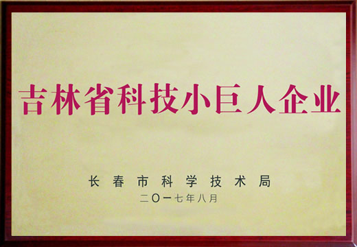吉林省科技小巨人a片无码
